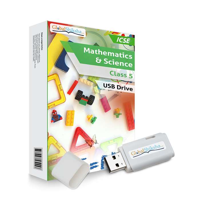 ICSE Class 5 Maths & Science Animated Pendrive in English