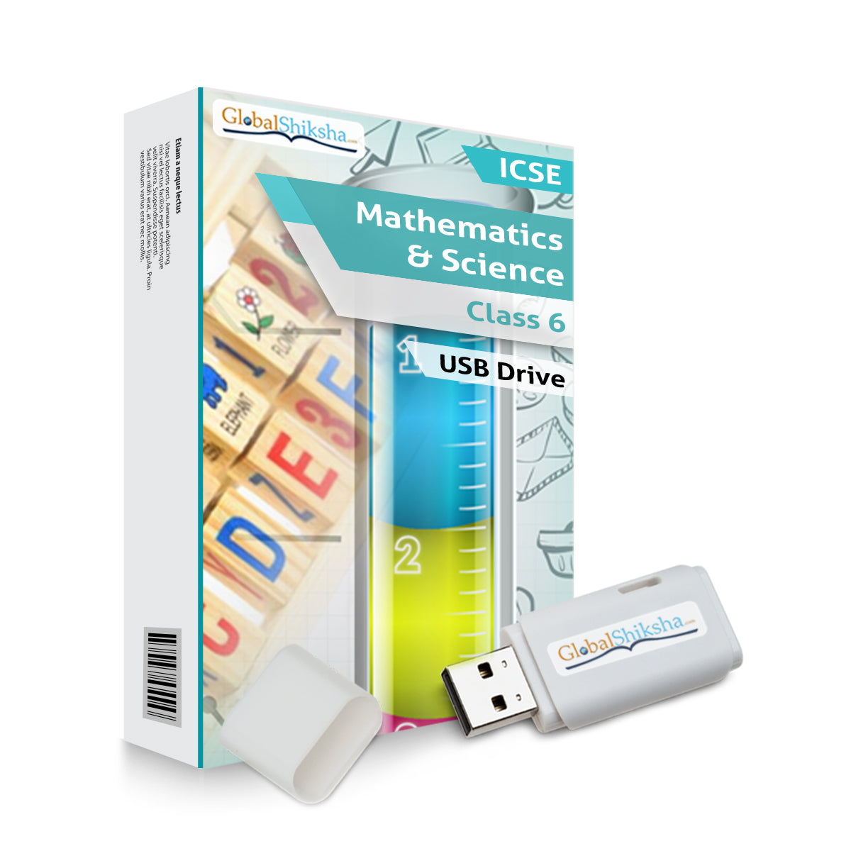 ICSE Class 6 Maths & Science Animated Pendrive in English