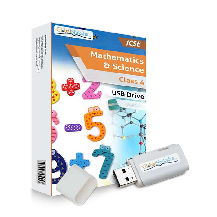 ICSE Class 4 Maths & Science Animated Pendrive in English