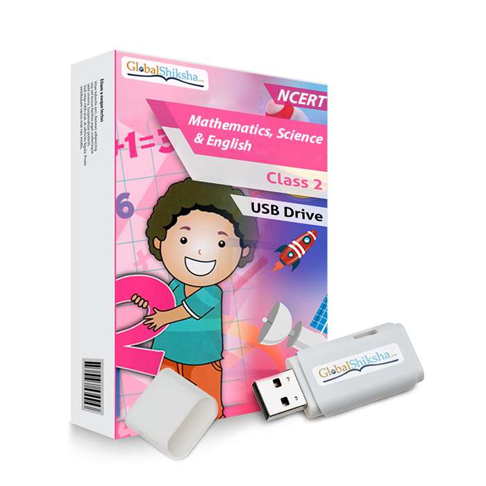 CBSE Class 2 Maths, Science and English Animated Pendrive in English