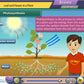 CBSE Class 6 Maths & Science Animated Pendrive in English