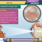 Karnataka State Board Class 8 Maths & Science Animated Pendrive in English