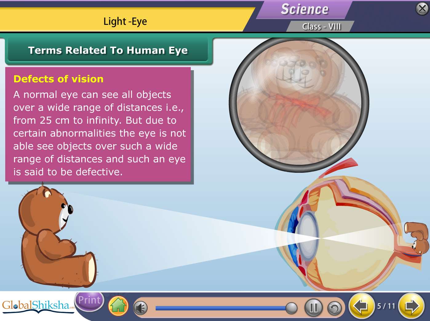 West Bengal State Board Class 8 Maths & Science Animated Pendrive in English