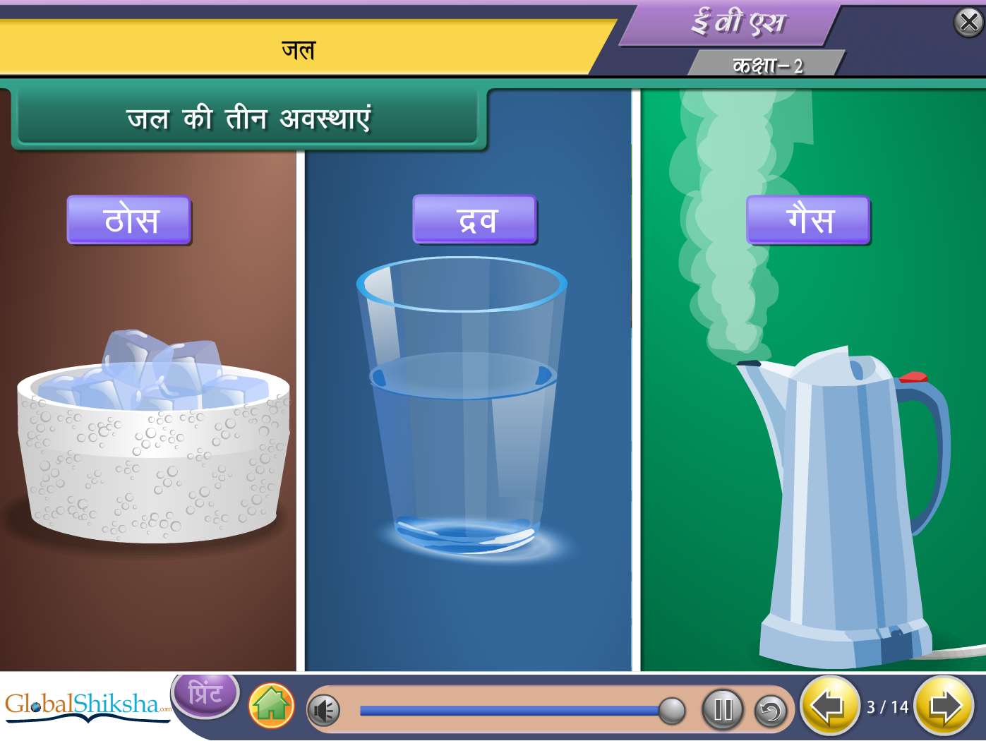 CBSE Class 2 Maths & Science Animated Pendrive in Hindi