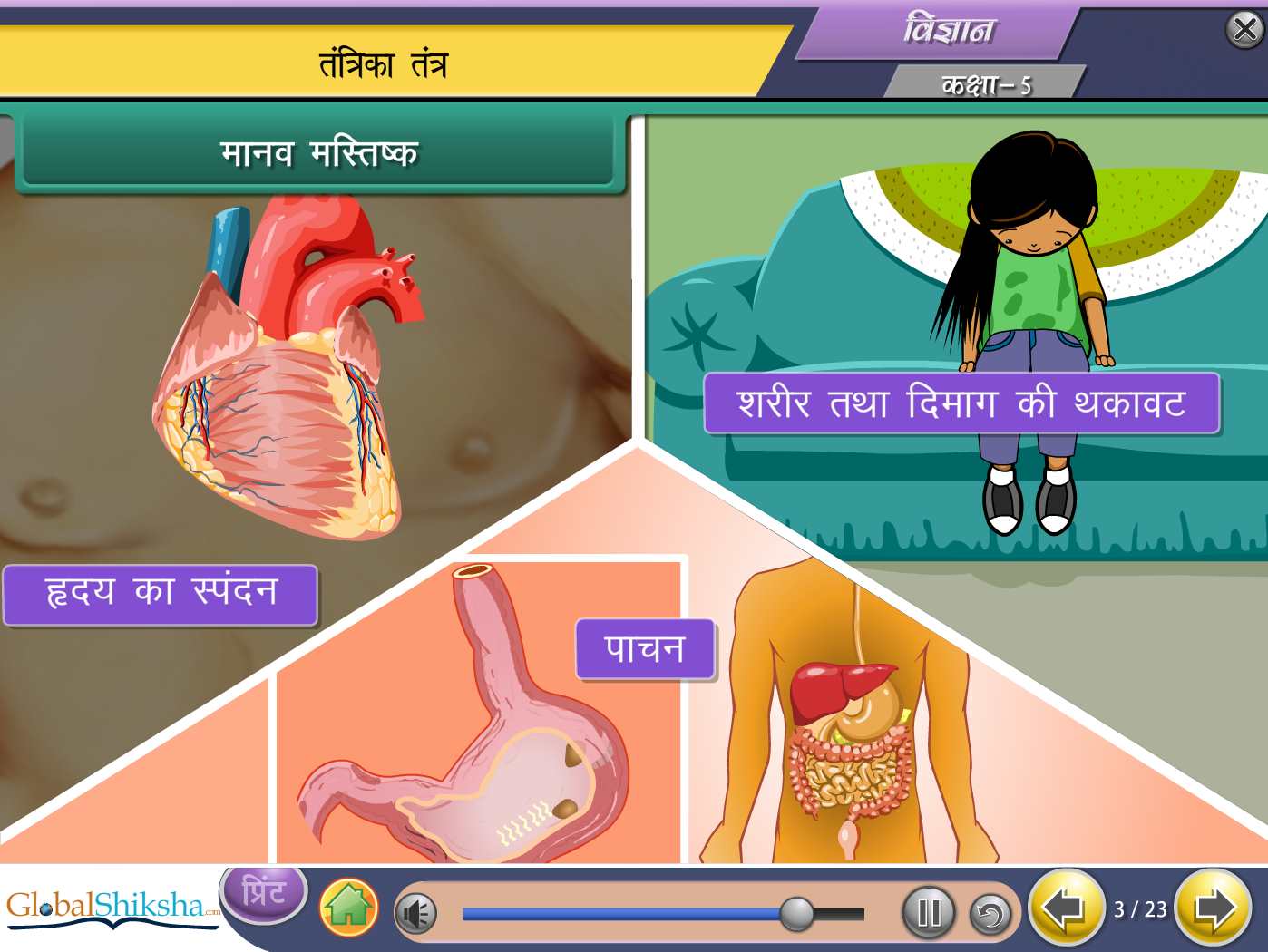 CBSE Class 5 Maths & Science Animated Pendrive in Hindi
