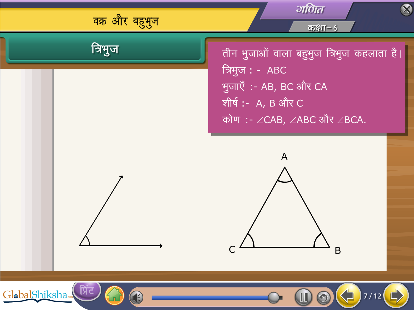 CBSE Class 6 Maths & Science Animated Pendrive in Hindi