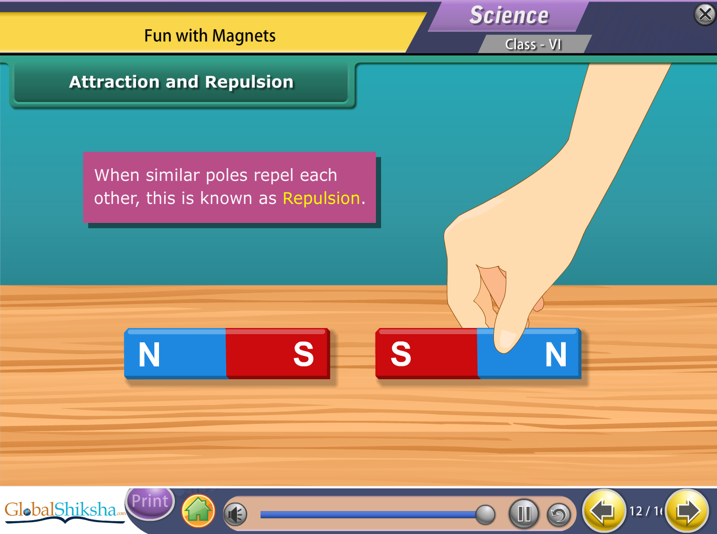 ICSE Class 6 Maths & Science Animated Pendrive in English