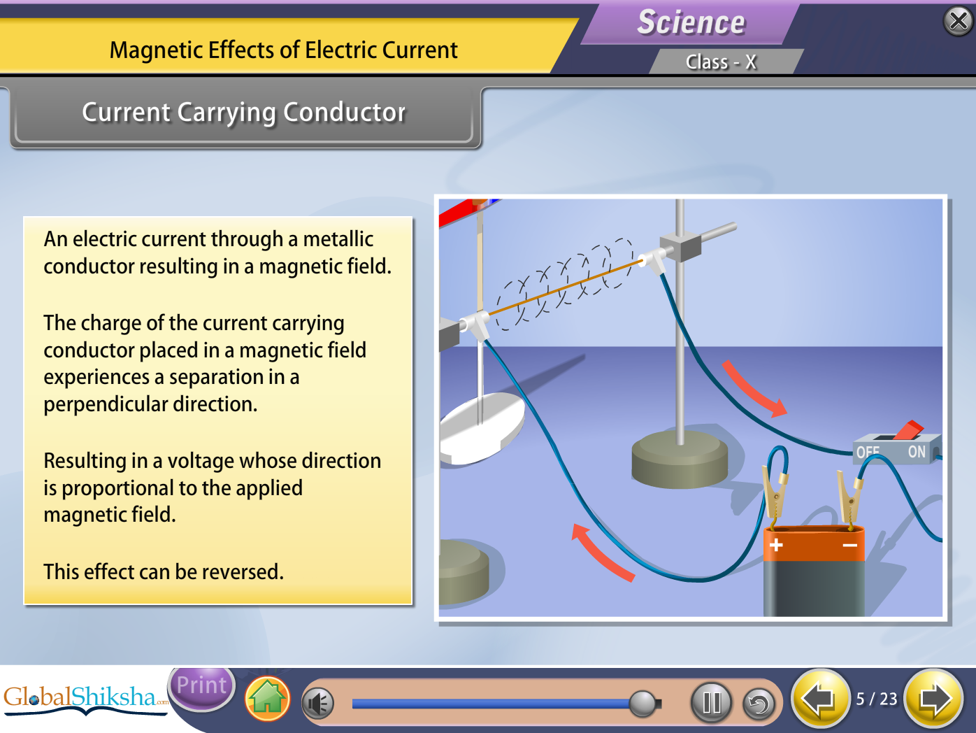 ICSE Class 10 Maths & Science Animated Pendrive in English