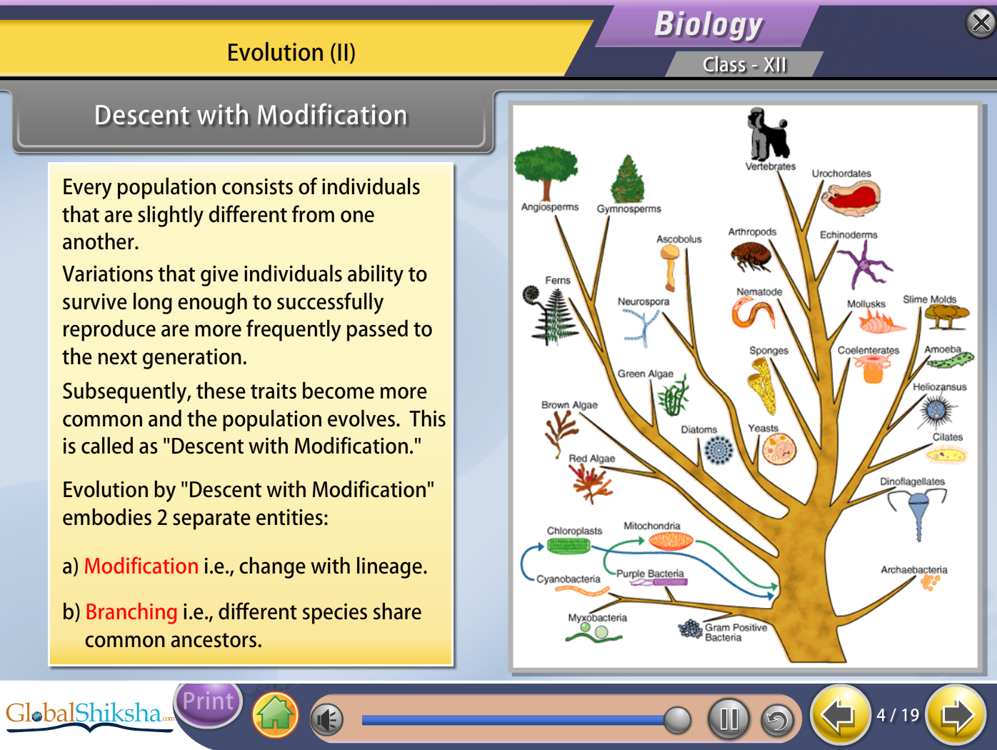 ICSE Class 12 PCMB [Physics, Chemistry, Maths & Biology] Animated Pendrive in English