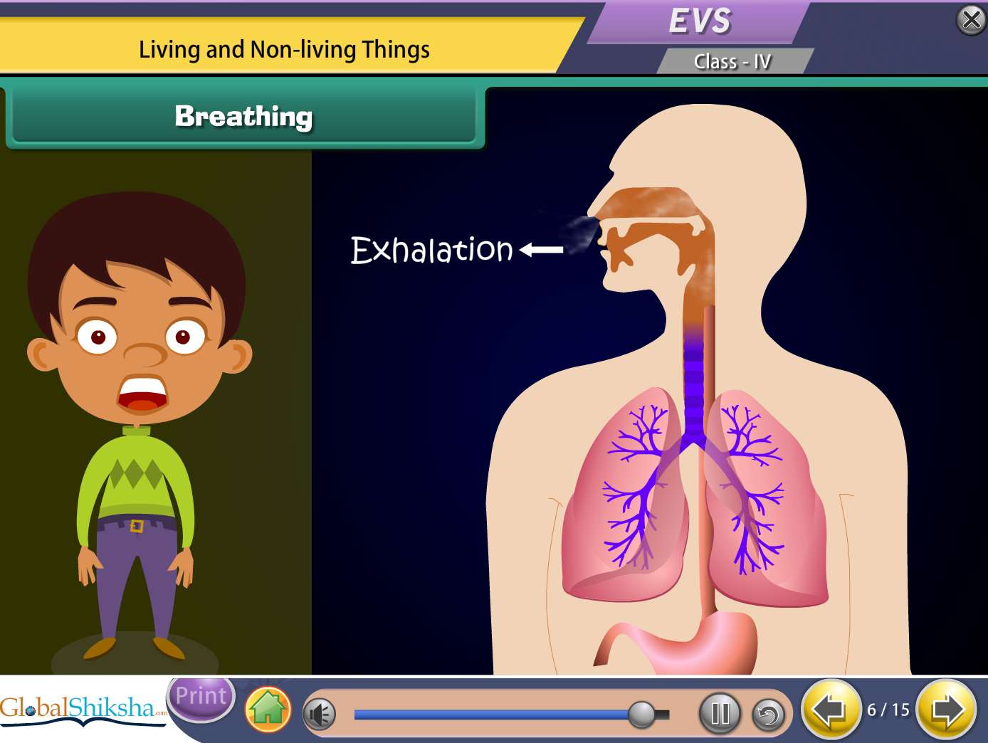 Maharashtra State Board Class 4 Maths & Science Animated Pendrive in English