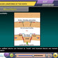 NCERT Class 6 Maths, Science and Social Science Animated Pendrive in English