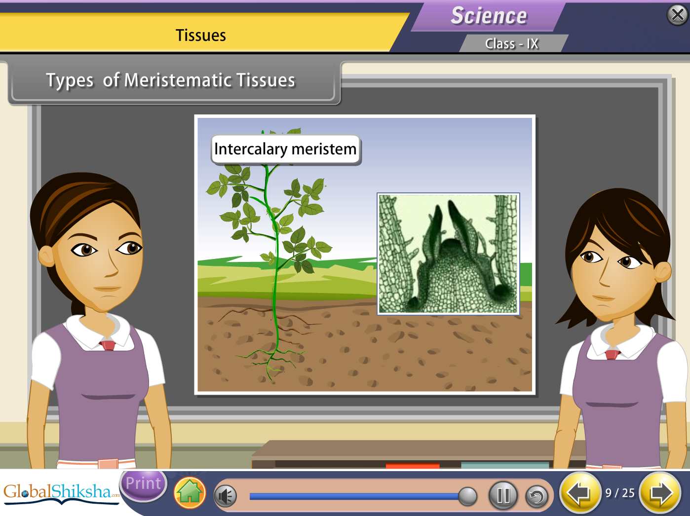 Tamil Nadu State Board Class 9 Maths & Science Animated Pendrive in English