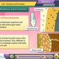 Karnataka State Board Class 8 Maths & Science Animated Pendrive in English