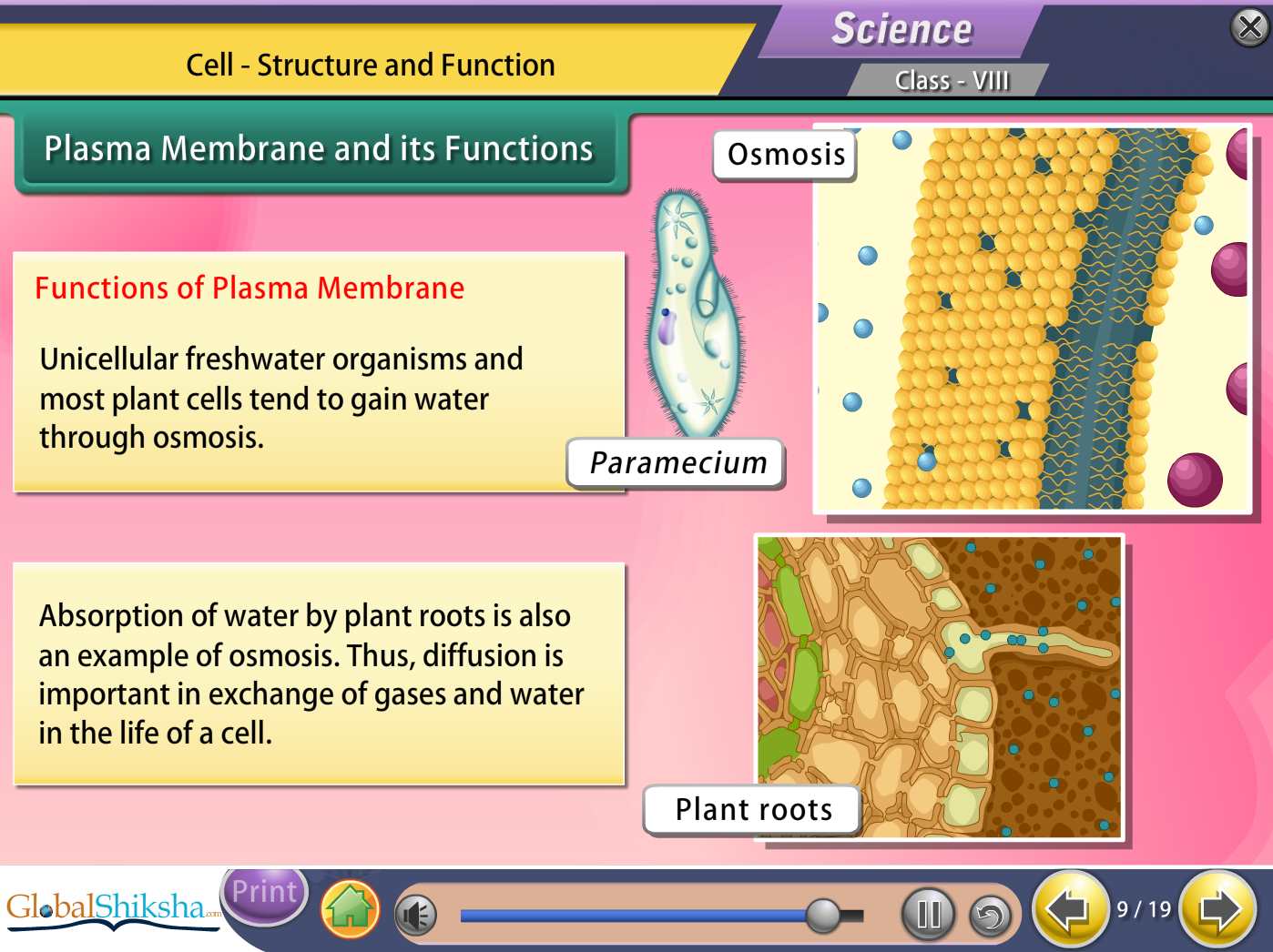 Karnataka State Board Class 8 Maths & Science Animated Pendrive in English
