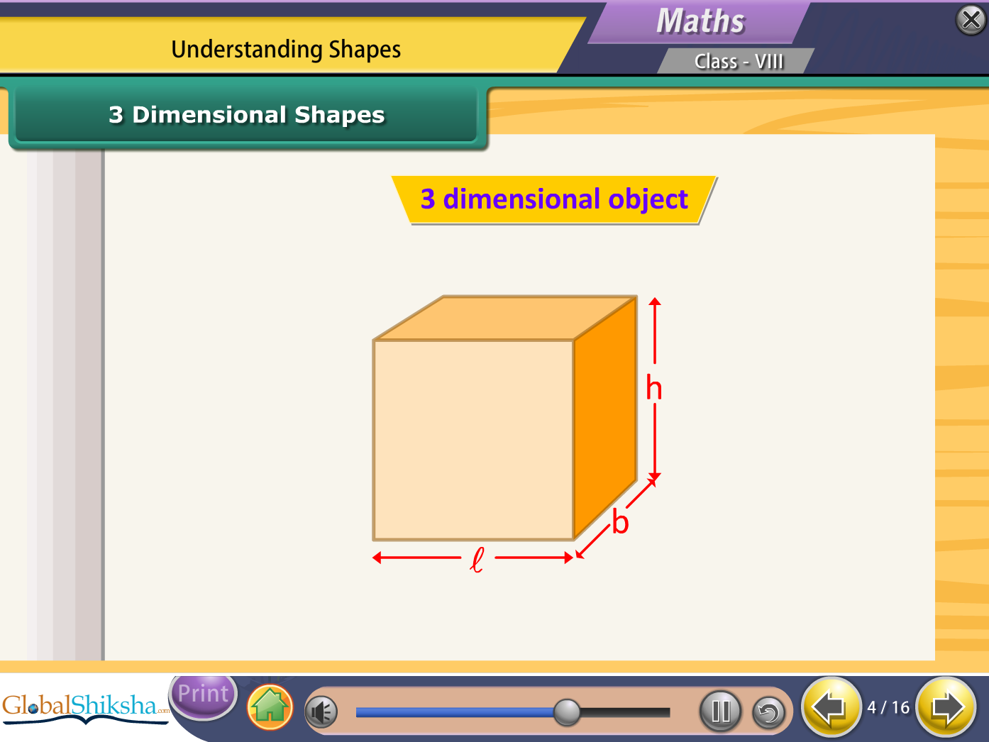 CBSE Class 8 Maths, Science and Social Science Animated Pendrive in English