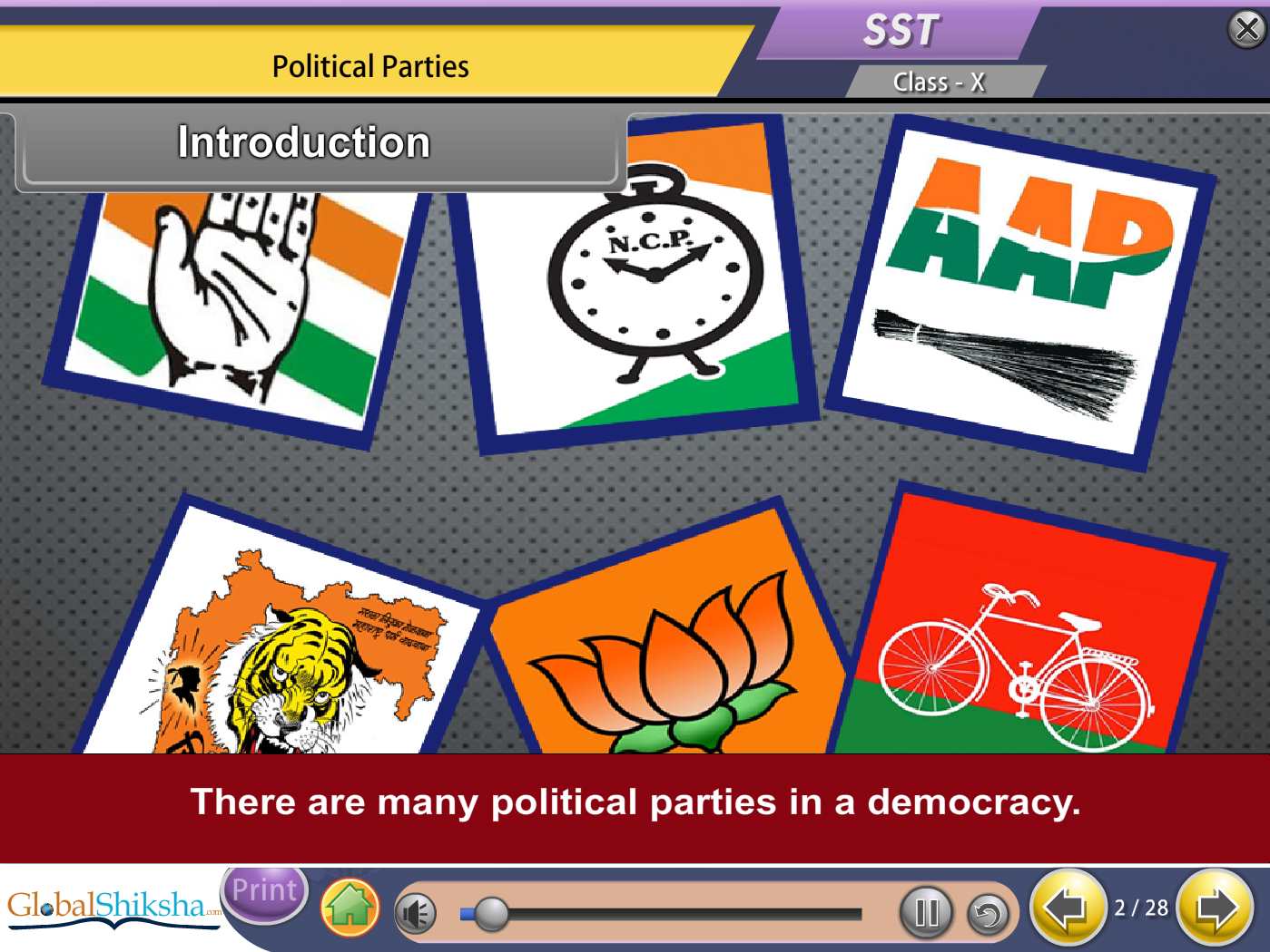 NCERT Class 10 Maths, Science and Social Science Animated Pendrive in English
