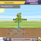 Rajasthan State Board Class 11 Maths & Science Animated Pendrive in English