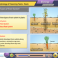 Tamil Nadu State Board Class 11 PCMB [Physics, Chemistry, Maths & Biology] Animated Pendrive in English