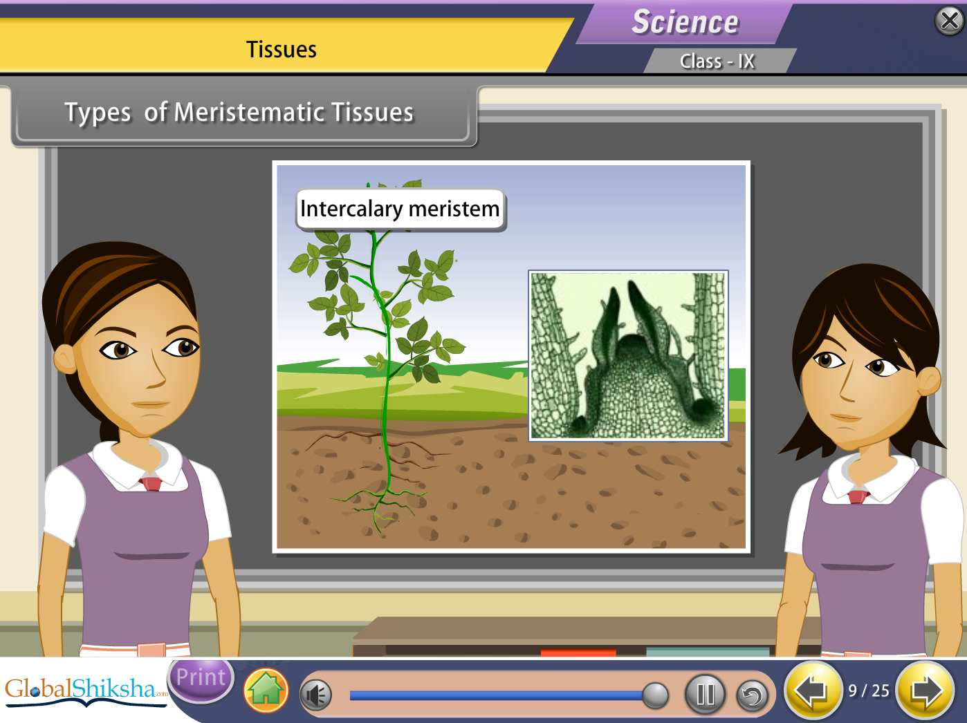 Kerala State Board Class 9 Maths & Science Animated Pendrive in English