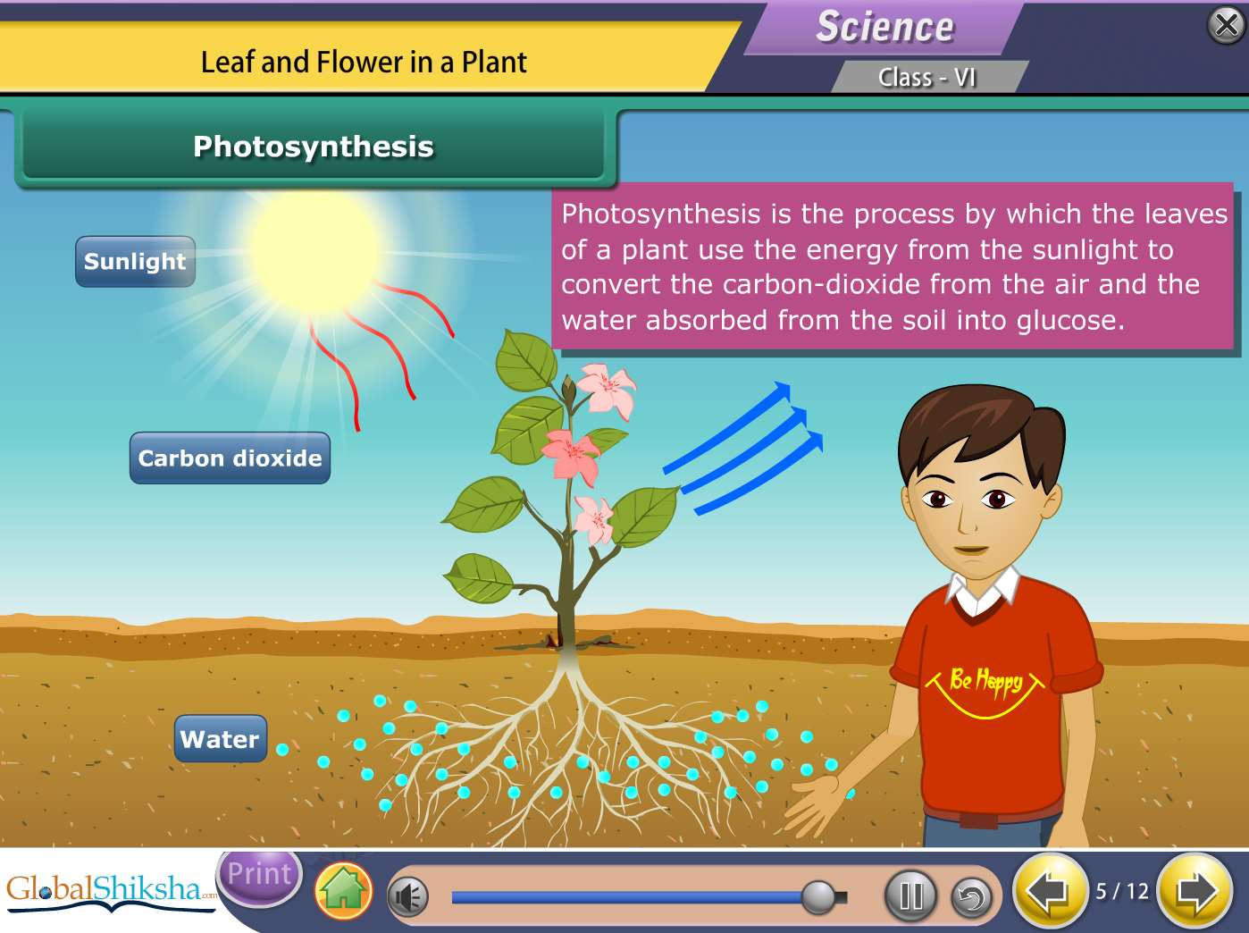 Tamil Nadu State Board Class 6 Maths & Science Animated Pendrive in English