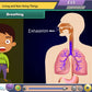 NCERT Class 4 Maths and Science Animated Pendrive in English