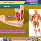 Rajasthan State Board Class 5 Maths & Science Animated Pendrive in English