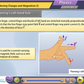 Rajasthan State Board Class 12 Maths & Science Animated Pendrive in English