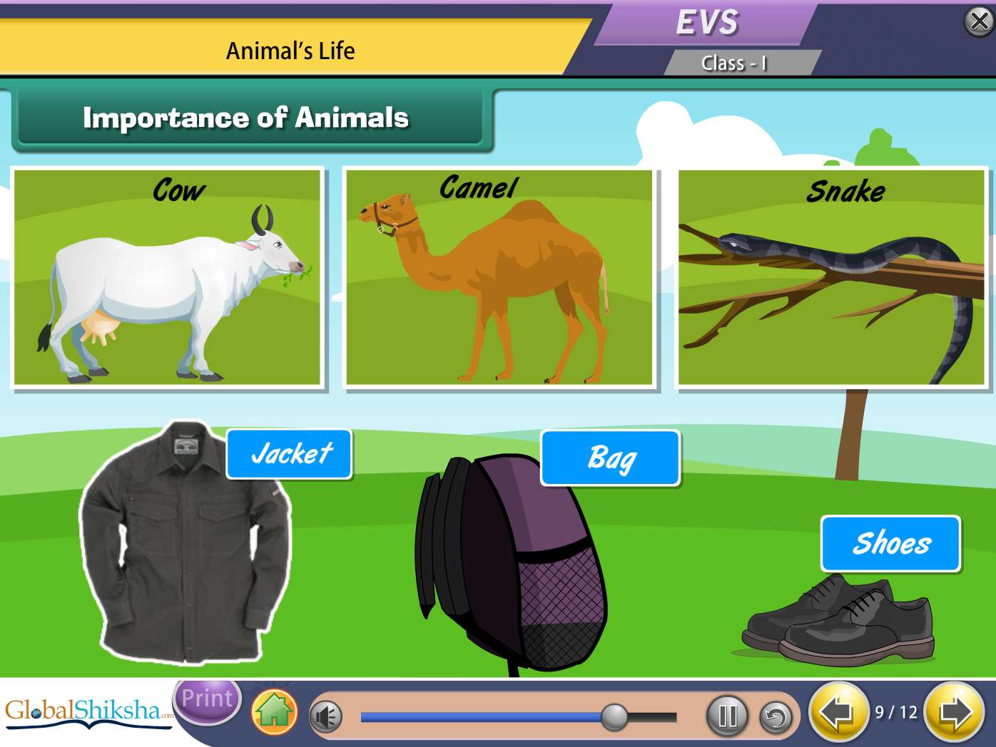 West Bengal State Board Class 1 Maths & EVS Animated Pendrive in English