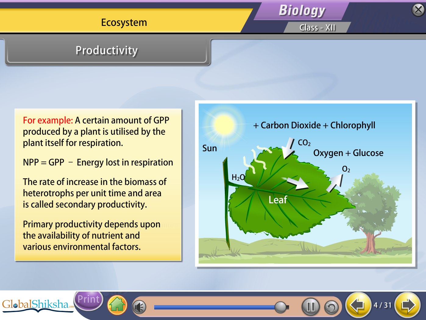 West Bengal State Board Class 12 PCMB [Physics, Chemistry, Mathematics, Biology] Animated Pendrive in English