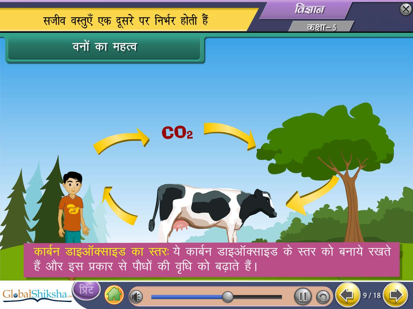 NCERT Class 5 Maths & Science Animated Pendrive in Hindi